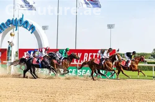 Equestrian Guide to Dubai: World-Class Horse Racing and Riding Clubs