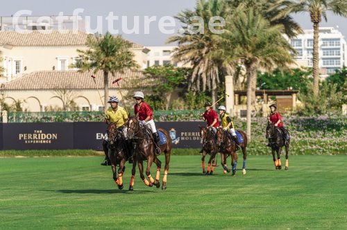 The Luxury Guide to Polo in Dubai: Tournaments, Clubs, and Lessons