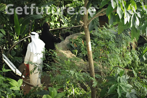The Green Illusion: Demystifying the "Forests" and Eco-Sanctuaries of the UAE