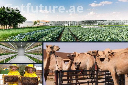 Growing in the Desert: The Future of Agriculture and Livestock in Dubai