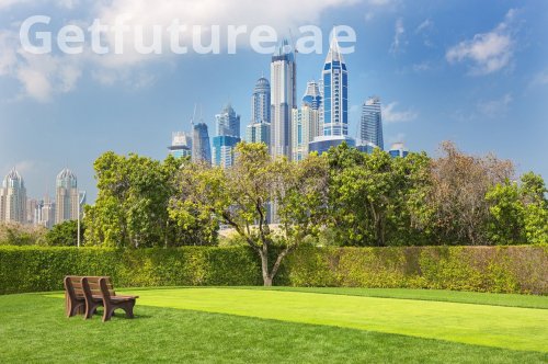 مستقبل دبي الأخضر: المبادرات البيئية وخطط التشجير الحضري