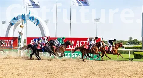 Equestrian Guide to Dubai: World-Class Horse Racing and Riding Clubs