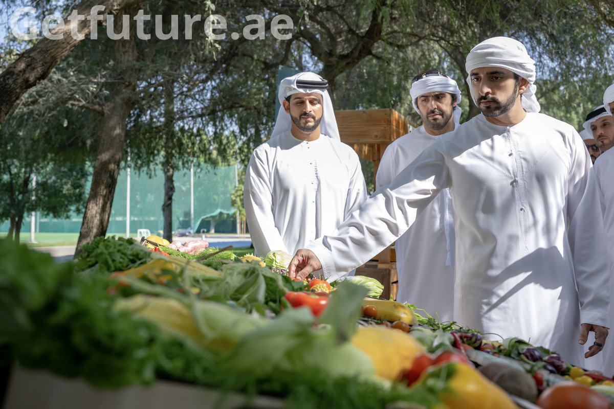 الابتكار في قلب الصحراء: مستقبل الزراعة والثروة الحيوانية في دبي